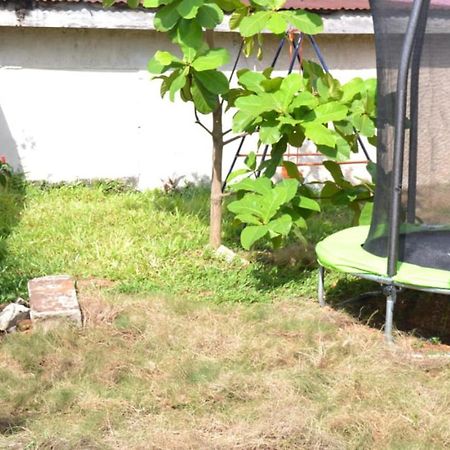 Fully Aircondition 3Bed Villa- A C- Wifi- Hotwater 弗里敦 外观 照片